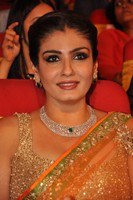 Raveena Tandon Photos